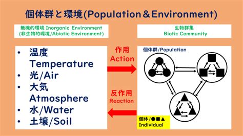 相互影響|相互作用とは？意味、類語、使い方・例文をわかりやすく解説